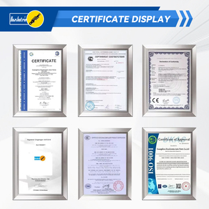 Amortiguador de Suspensión Neumática Airmatic para Mercedes-Benz <span class=keywords><strong>Maybach</strong></span> <span class=keywords><strong>W240</strong></span>, Piezas de Suspensión Neumática Delantera Derecha A2403201013 - Product Image 6