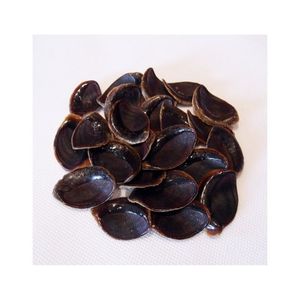 Giá Rẻ Murex <span class=keywords><strong>Operculum</strong></span> Seashells Khô Ốc Biển <span class=keywords><strong>Shell</strong></span> - Product Image 6