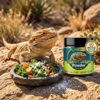 Poudre de calcium D3-Free haute pureté pour reptiles - Supplément essentiel pour la santé osseuse des lézards et des tortues - Marquage privé OEM