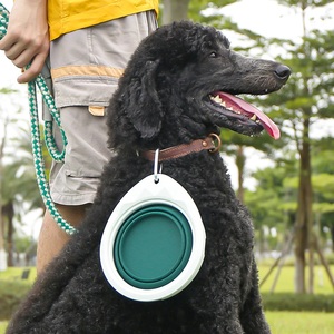 Bol pliable en silicone et ABS en forme de feuille, facile à transporter, avec support, pour chien, pour voyage, bol pliable pour animaux de compagnie - Product Image 5