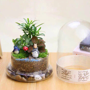 Moos-Mikrolandschaft Glasglocke Vase Sukkulenten Farn Moos Display Luftpflanzen Terrarium mit Sockel für Heimdekoration - Product Image 4