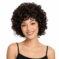 Perruque synthétique afro bouclée noire et volumineuse unisexe pour déguisement de grand-mère, idéale pour Halloween, les fêtes costumées et le cosplay