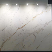 Dalle de pierre frittée en granit texturé or continu blanc Katakara de 9 mm