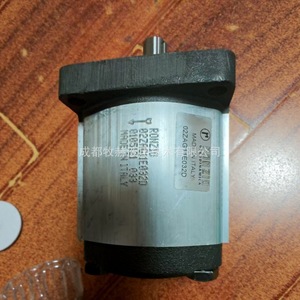 ปั๊มเกียร์ Ronzi รุ่น 02ZAG11E032D 32 ลิตร/นาที 250 บาร์ ผลิตจากเหล็กหล่อ ผลิตในอิตาลี - Product Image 1