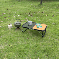 Table de camping pliable de haute qualité en alliage d'aluminium, panneau MDF, maille de fer, petite table de pique-nique en plein air