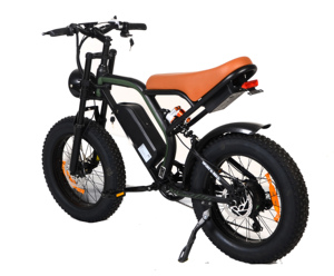 Ruihe K6 20 pulgadas 750W Fat Tire bicicleta eléctrica con motor de cubo trasero 48V 15ah batería para mujeres viajeros nuevo diseño Ebike - Product Image 6