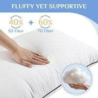 Oreillers de collection hôtelière 2 pièces taille Queen, moelleux et offrant un soutien optimal, garnissage en microfibre alternative