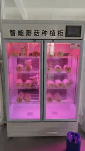 Gabinete Hidropónico Inteligente <span class=keywords><strong>de</strong></span> Múltiples Niveles, Sistema Vertical, <span class=keywords><strong>Cultivo</strong></span> Automatizado en Interiores, Caja <span class=keywords><strong>de</strong></span> <span class=keywords><strong>Cultivo</strong></span> Doméstica, <span class=keywords><strong>Cultivo</strong></span> sin Suelo, Bomba <span class=keywords><strong>de</strong></span> Riego - Product Image 4