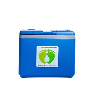 Portable Custom Modern Thermal Insulated <b>Cooler</b> <b>Box</b> 12L with Reusable PP & PE <b>Ice</b> Pack - Product Image 1