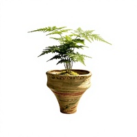 Pot Bunga Keramik Jingdezhen Tahan Panas, Anti Karat, Bernapas, Gaya Wabi-sabi, untuk Sukulen dan Tanaman Hijau di Meja, Bergaya Rustic