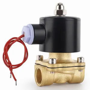 2W Normally closed brass water gas general solenoid valve 1 / 2in AC110V ~ 220V / DC24V ~ 12V