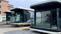 Château Villa en acier préfabriqué de luxe, prêt à être expédié, portable, petit conteneur, 2 chambres, espace préfabriqué, capsule habitable, bureau rapide