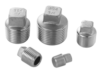 Bouchon de tuyau en acier inoxydable 304/316 - Filetages NPT/BSPT - Normes ASTM/ASME - Résistant à la corrosion - Pour filtres, raccords en T et étanchéité des tuyaux