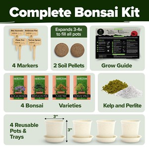 Premium 4 <span class=keywords><strong>Bonsai</strong></span> Arbres Starter Kit Jardinage Plante Cadeau pour Usage Domestique pour Débutants et Jardiniers Comprend Fleur Artificielle - Product Image 2