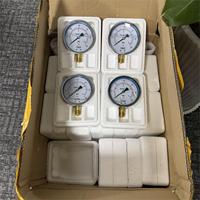 High Precision Pressure Gauge 100mm 0-600psi Stainless Steel case Shock-resistant Radial Pressure Gauge