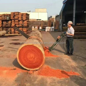 Scies à chaîne portatives de coupe en bois - Product Image 6