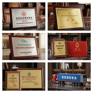 Servizio di Logistica Internazionale Aerea e Marittima DDP LCL Più Economico, Top 10 Spedizionieri dalla Cina a USA, Regno Unito, Canada - Product Image 4