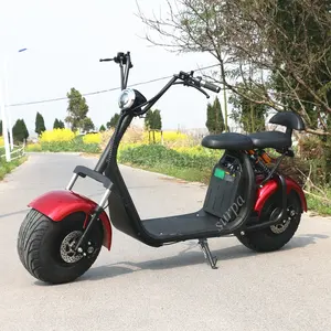 2000w 3000w rimovibile 60v1 2ah/20ah batteria al litio grasso pneumatico citycoco 60 mph scooter elettrico auto/scooter elettrico chopper
