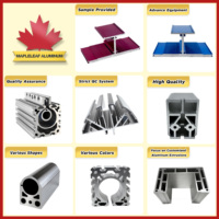Profilés en aluminium extrudé industriel Mapleleaf 6063 T5, profilés en aluminium extrudé industriel