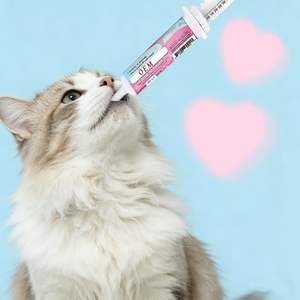 Pâte buvable pour animaux de compagnie OEM ODM : Régule la <span class=keywords><strong>flore</strong></span> <span class=keywords><strong>intestinale</strong></span> et restaure l'équilibre digestif – Probiotiques et prébiotiques pour le tractus gastro-intestinal - Product Image 2