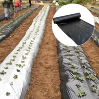 Film plastique réfléchissant gris argenté en LDPE pour la lutte antiparasitaire, la régulation de la température et le paillage agricole (vente en gros)