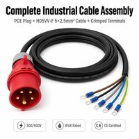 LNLEE PCE Cable Industrial de 3m con Enchufe IEC 60309 de 5 Pines, 5x2.5mm² 300/500V H07RN-F con Terminales de Anillo, Longitud de Cable Personalizada