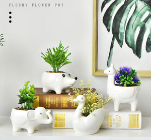 Stile nordico su misura bianco in ceramica fioriera simpatico cartone animato a forma di Multi-animale per la decorazione della casa giardino succulento <span class=keywords><strong>Cactus</strong></span> vasi di fiori - Product Image 2
