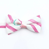 Nœuds papillons mignons en coton pour chiens, motifs fruits et ours polaires, ensemble familial parent-enfant, accessoires colorés pour mariages et fêtes, cadeaux