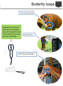 Macchina di terapia del cavallo di promozione equino sollievo dal dolore PMST LOOP PEMF dispositivo di terapia magnetica del cavallo macchina per la terapia del magnete del fisico - Product Image 4