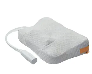 2023 oreiller de sommeil fabriqué coque 100% oreiller de sarrasin biologique avec taie d'oreiller