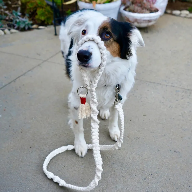 Boho High Quality Pet Collar Accessories Cute Cotton Hand Woven Macrame Dog Leads Leash