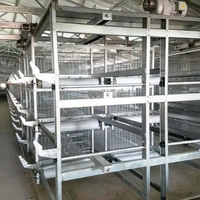 Nouvel équipement d'élevage de volailles, système de cages à batterie de type H galvanisé pour poulets de chair, environnement moderne contrôlé