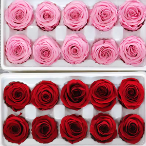 Rosas Preservadas al Por Mayor, 4-5cm, Grado B, Cabezas de Rosa Naturales Reales para Decoración de Bodas, Celebración del Día de San Valentín - Product Image 6