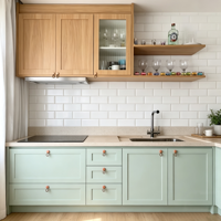 Desain Kustom Siap Rakit Set Lengkap Dicat Warna Hijau Sage Gaya Shaker Melamin Modular Ramah Lingkungan Wastafel Dapur