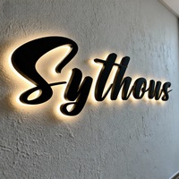 Signalisation murale extérieure 3D personnalisée en métal acrylique avec rétroéclairage LED, logo personnalisé, lettres lumineuses 3D, panneau lumineux LED pour la publicité