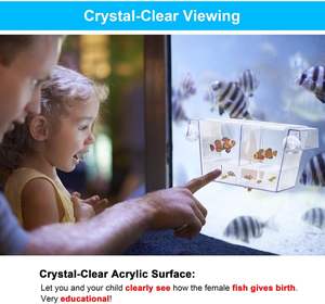 Boîte d'élevage Incubateur d'écloserie d'acclimatation d'isolement transparent pour bébé poisson Betta crevettes poisson clown Guppy aquarium aquarium - Product Image 6