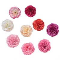 Bunga Peony Sutra Buatan Tangan Berkualitas Tinggi 20cm Ramah Lingkungan Dekorasi Pernikahan Pajangan Rumah Pesta