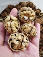 Noix de Chine en gros directement de l'usine : noix séchées en coque et noyaux de noix en vrac, qualité alimentaire, pour snacks, pâtisseries et petit-déjeuner
