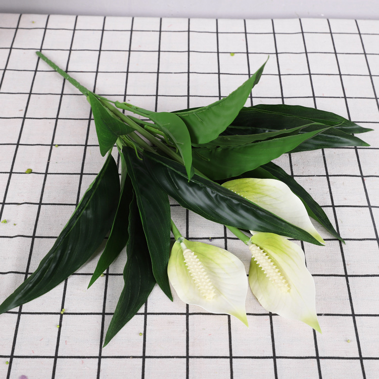 Lys de la paix à 3 fleurs [blanc]