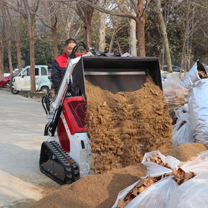 รถตักขนาดเล็กด้านหน้ารถตักดินขนาดเล็กรถตักดินขนาดเล็กอเนกประสงค์ Euro5เครื่องยนต์เบนซินโหลดสูงสำหรับฟาร์ม - Product Image 1