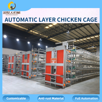 Vente en gros de cages automatiques pour poules pondeuses, équipement d'élevage avicole, vente directe d'usine, 90-160 oiseaux par cage, personnalisable