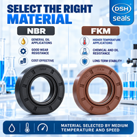 Joint d'étanchéité à double lèvre en NBR FKM TC personnalisé, avec boîtier métallique, pour arbre rotatif de pompe hydraulique et moteur électrique