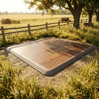 Neu eingetroffen: Großhandel für moderne, tragbare Outdoor-Tanzflächen aus Holz-Vinyl für Einkaufszentren und Hochzeiten – rutschfeste, ineinandergreifende Bodenfliesen