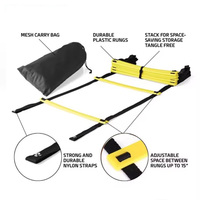 LEAJOY Kit d'entraînement d'agilité et de vitesse en promotion, échelle 4m 8 barreaux, sangle PP/Nylon, logo personnalisé, équipement de fitness multicolore