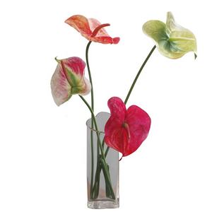 M152 لوازم ديكورات زفاف للمنزل Kwiaty Sztuczne الزهور محاكاة أوراق زهرة ريال اللمس مصنع <span class=keywords><strong>Anthurium</strong></span> الحرير الاصطناعي <span class=keywords><strong>Anthurium</strong></span> - Product Image 1