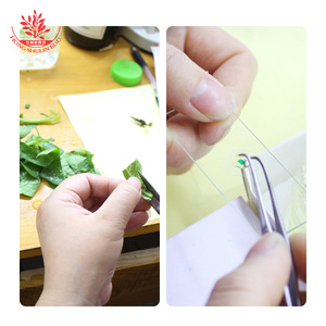 Sección longitudinal de semilla de frijol, tejido vegetativo de planta dicotiledónica, preparado para observación microscópica en biología - Product Image 2