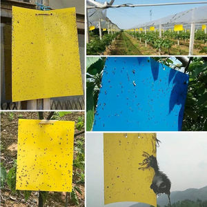 Suministro de fábrica OEM precio de descuento personalizado gigante al aire libre trampa para moscas feromonas moscas de la fruta de papel - Product Image 5