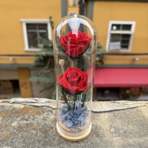 Rosa Preservada en Cúpula de Cristal, Regalo de San Valentín al por Mayor, Rosas Eternas Reales con Caja de Regalo - Product Image 3