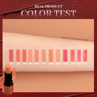 Rouge à lèvres mat velours nourrissant, waterproof, longue tenue, pigment riche, 12 teintes, OEM ODM, étiquette privée, logo personnalisé, vente en gros