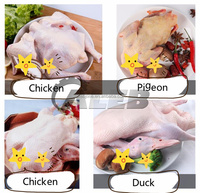 Machine à plumer les poulets, plume 1 à 20 poulets à la fois, plumeuse à poulets automatique à prix raisonnable